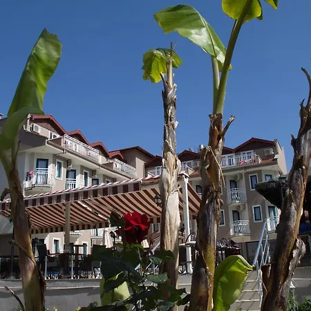 Otel Remer 3*
