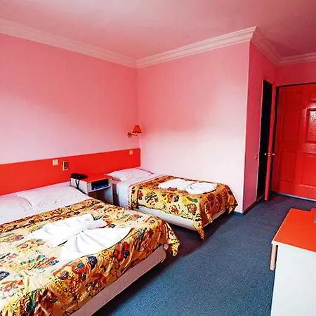 Otel Remer 3*