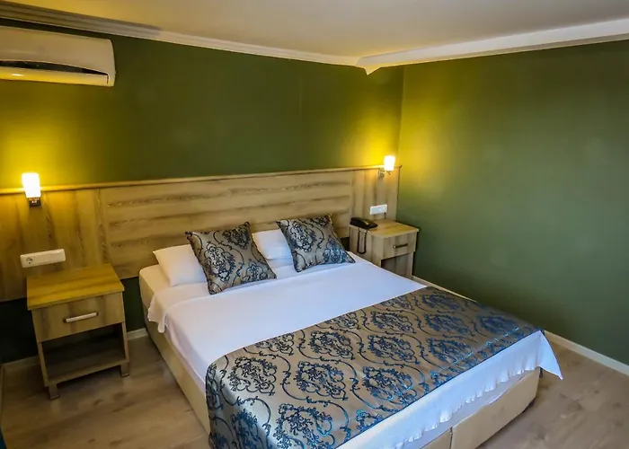 Remer Hotel 3*